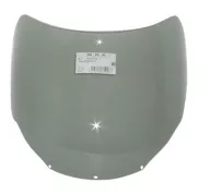 FZR 750R ( OW 01 ) - Spoiler windshield "SN" all years