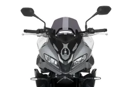 Bulle Sport